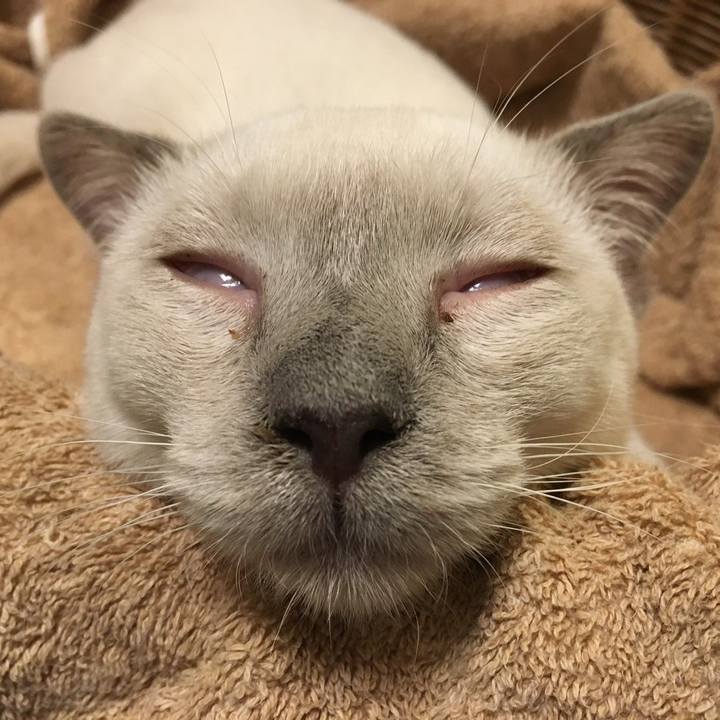 C816ea03 cebf 46d4 80d4 9ecb31a0be32 1745581018955