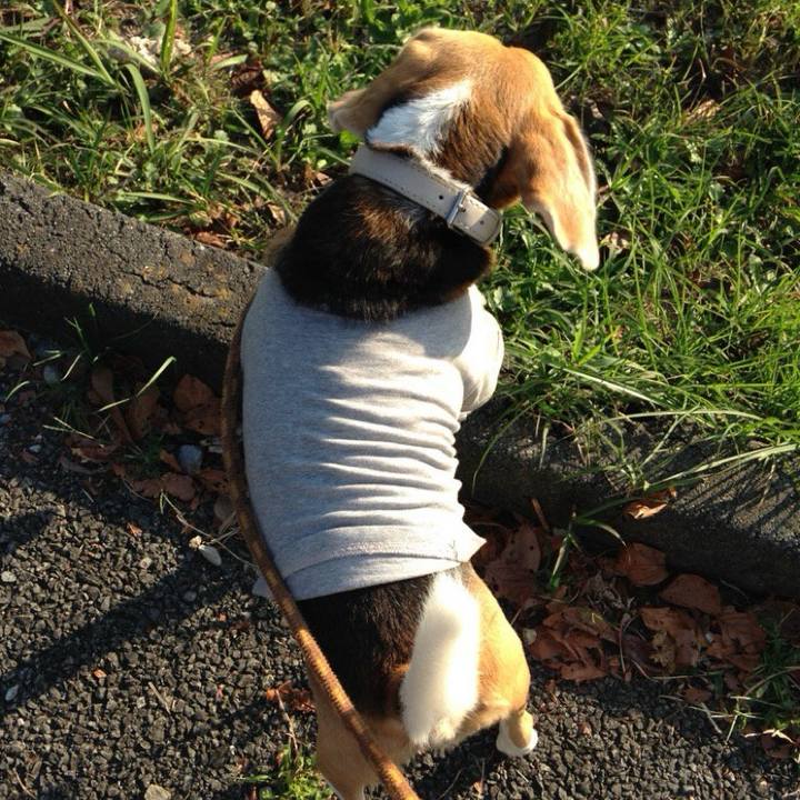 C817283f d921 4fdf a543 4333ab61b12f 1730249722734