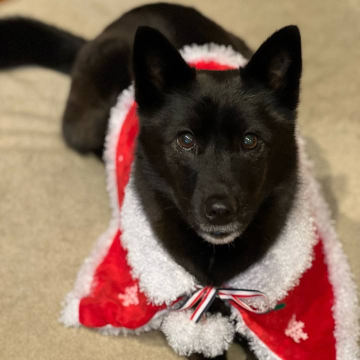 C8175a2a 3ce5 4695 b55f 1392f51c008f 1640400871413