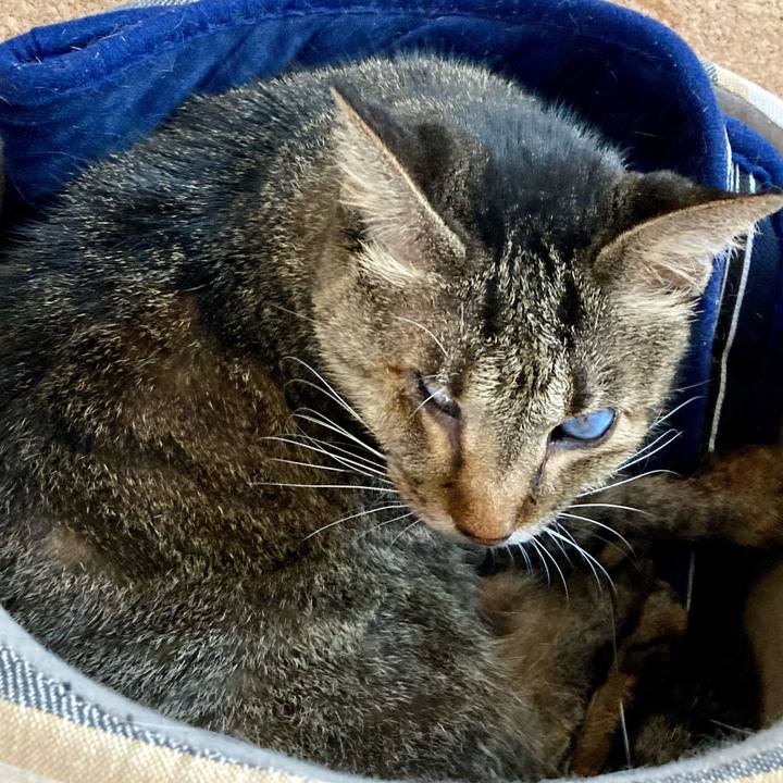 C8175e26 5dea 4887 a75f 71eba4811e80 1663802871634