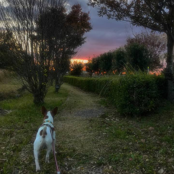 C817662e bf8e 4486 b3e9 738181f37b0a 1510824214716