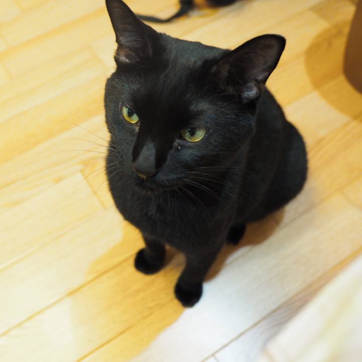 C817bedf c10c 45d8 b0d6 3ca006cd3811 1537487407125