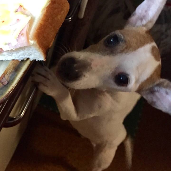 C8180b99 9b6b 4826 9045 d92490077838 1597044631206