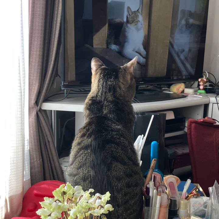 C8181afe 47c1 4714 9b15 38182712228e 1767491938130