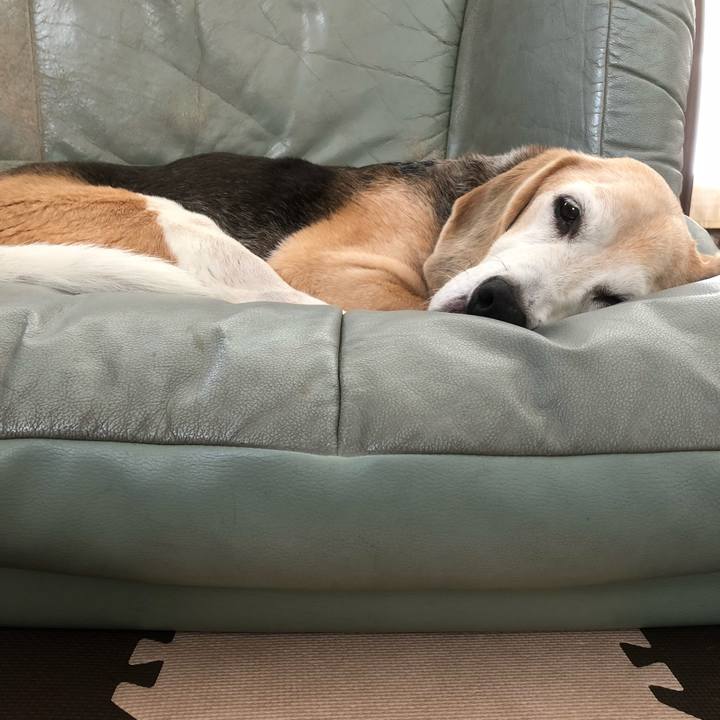 C8185cf8 7752 452d a823 60249aef3627 1539162474458