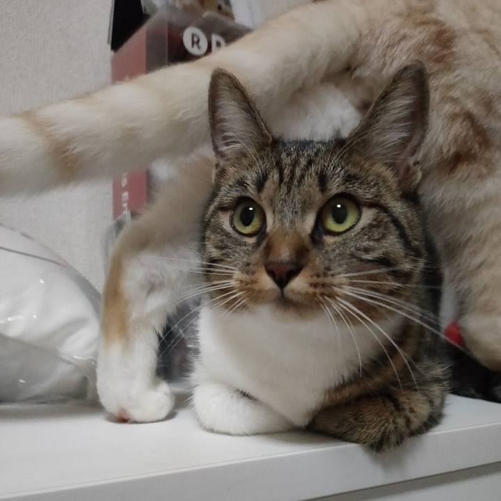 C8185fea 9564 47b2 8818 c8ea886f3f06 1660057158812