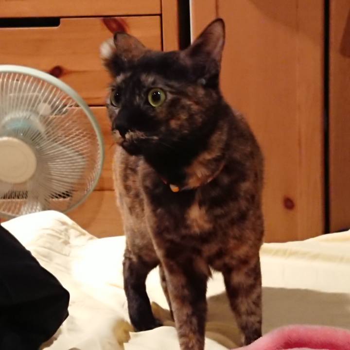 C81860ea 165a 41a5 9d86 3dffa3f8ce36 1550032465691