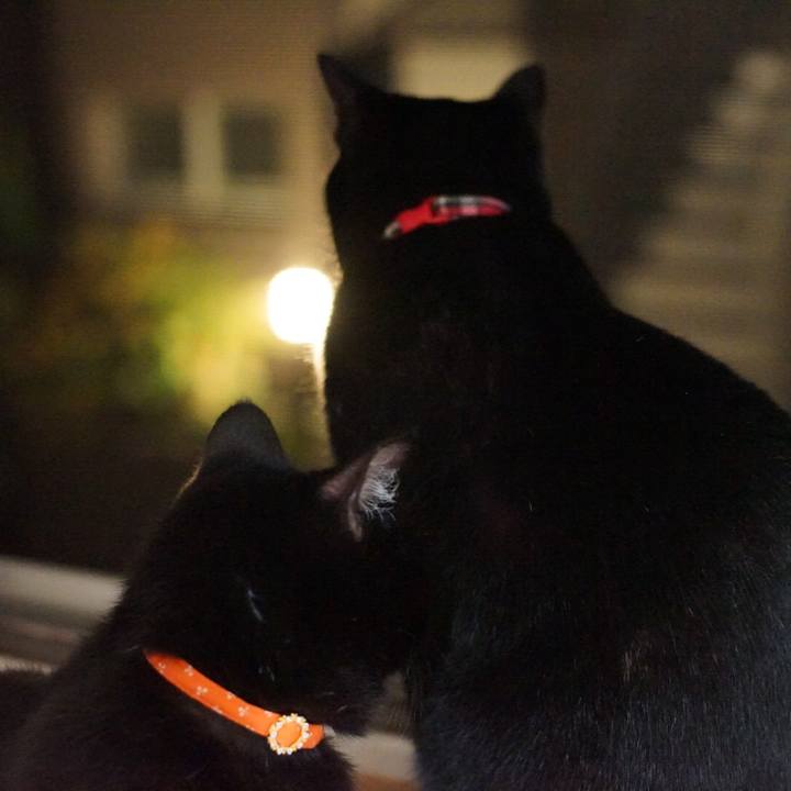 C81868e4 a245 4ee1 af59 6f45d4800fa1 1534807368423