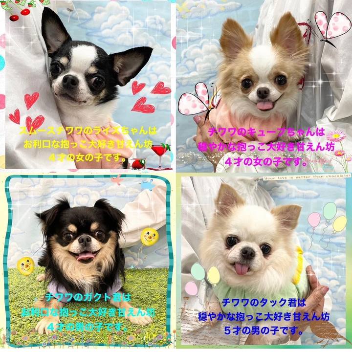 C8186ffe 5b88 4a0d afc9 70b2cc1cf9b8 1674222234983