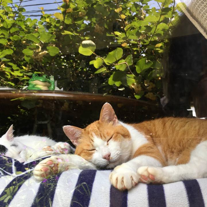 C8189d47 f183 49d5 9fd7 46f3a8295d2a 1591255188358