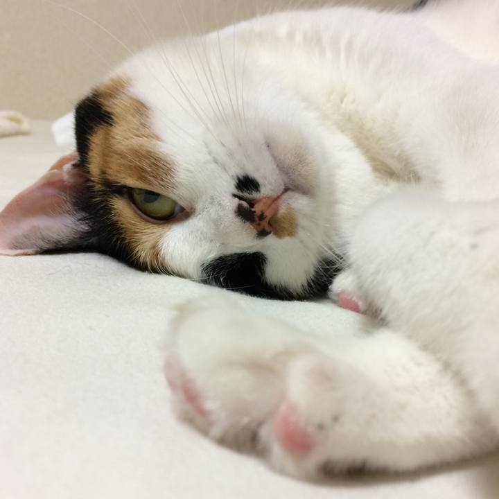 C818ae53 8340 4183 a09d e3c7e3012dfb 1569297365185