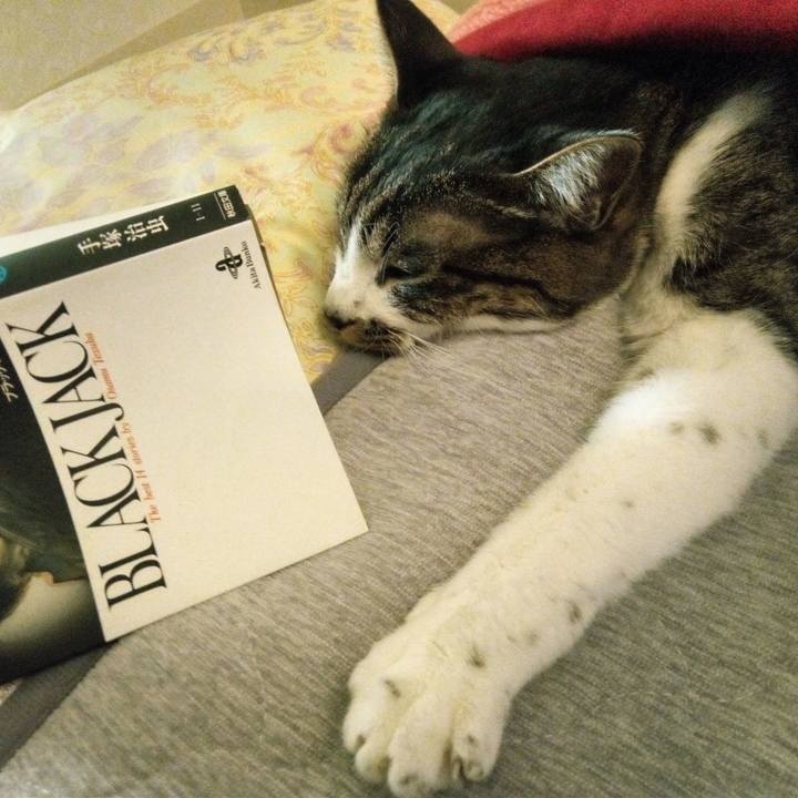 C818b80b 0a21 450a 8eaa fdfb58a39c20 1767166662998