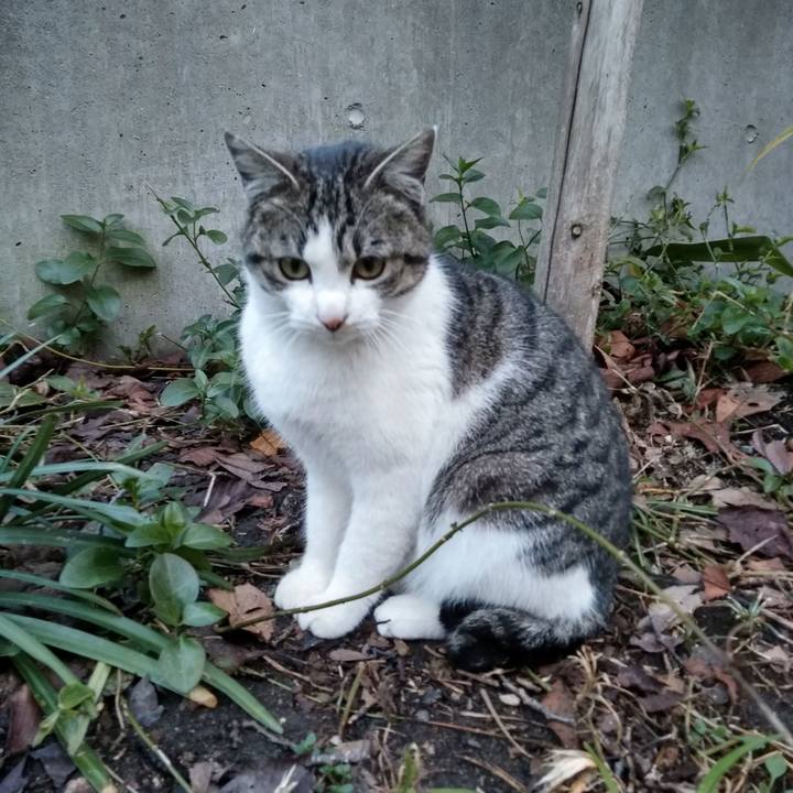 C8190282 64d8 4237 9beb 97a20020650e 1549456151307