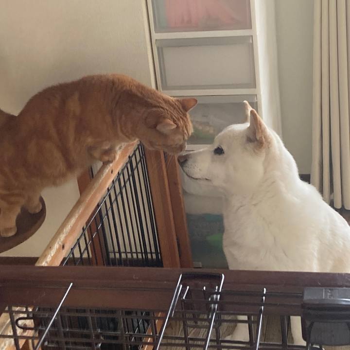 C8191623 e263 4ddb 9cc8 455a378395ea 1643844352014