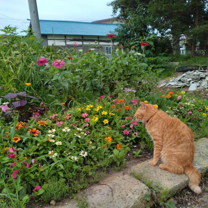 C8192755 8507 4df7 974d f491febf8677 1689632769700