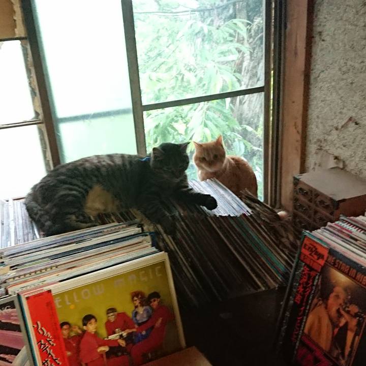 C8193814 b829 4408 a7ea 489a4fbe0080 1656292119433