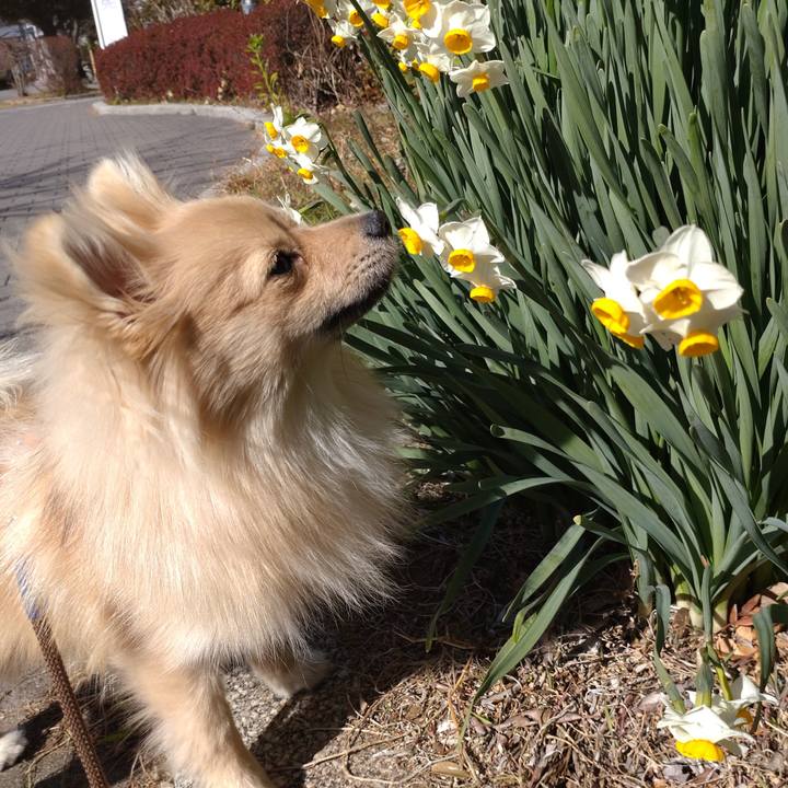 C8193964 7411 45ed 855c 5397557eaea3 1738974895627