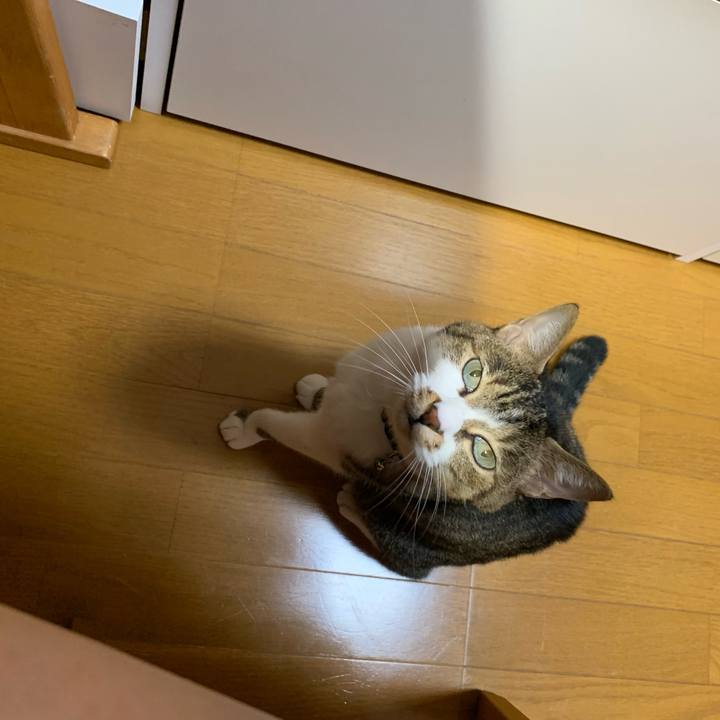 C8195c42 930e 4271 814e 2a38f0f936d5 1637355715515