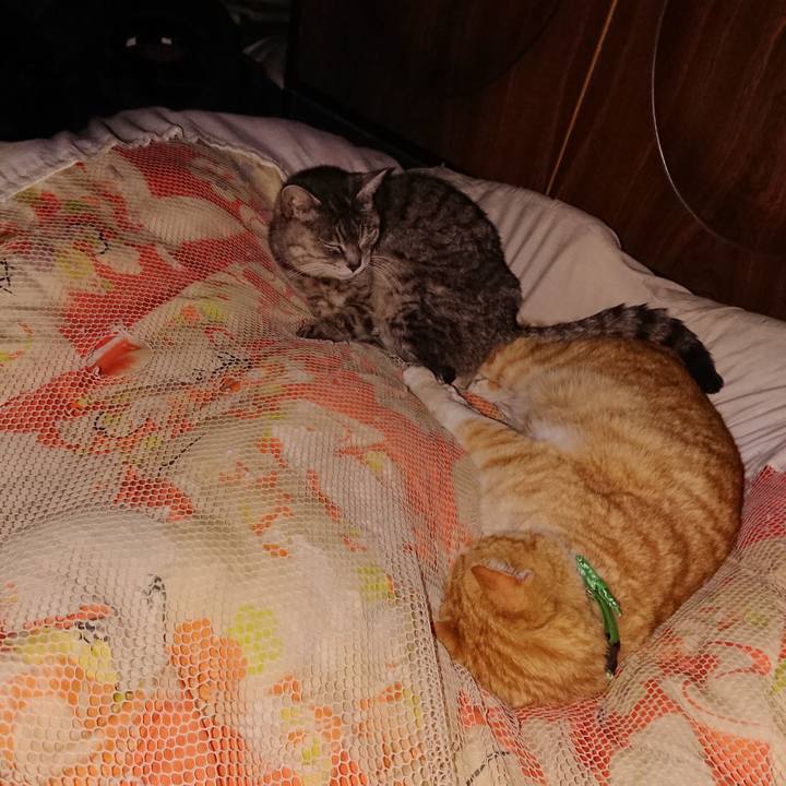 C81985c3 111a 411a afb5 abc13ef12e38 1584895257868