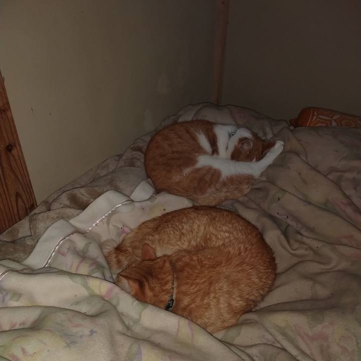 C8199ac0 9a02 4e63 873a 5cf754b7c4af 1768576234217