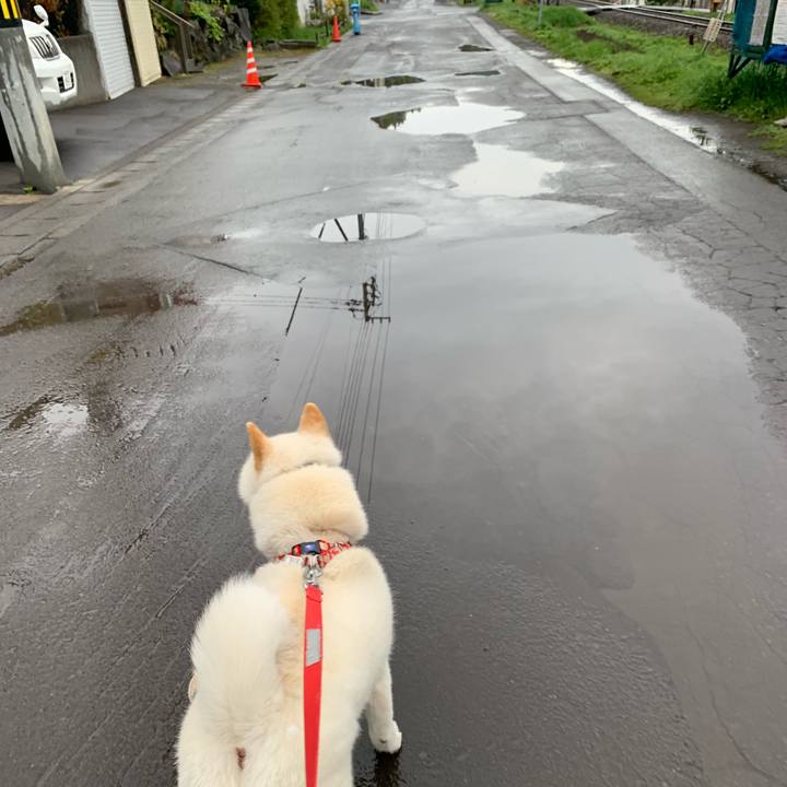 C819bbce 909d 4eef bb5f f4fcc4fb155d 1557177955687