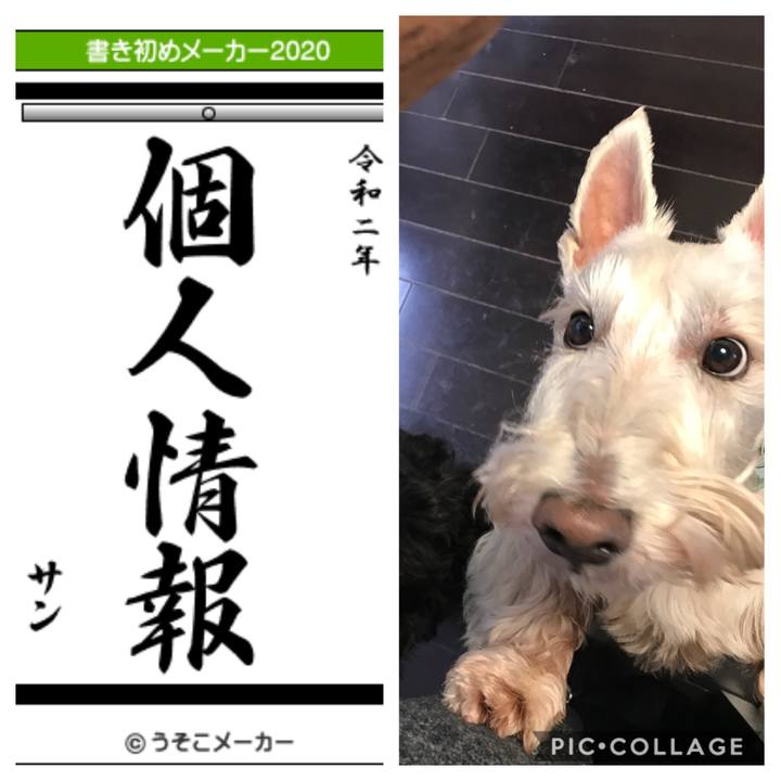 C819f83b f375 4e27 b3e9 784f5f743dbf 1577918660419