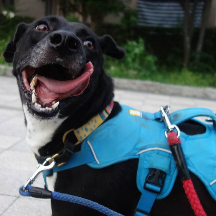 C81a00b1 59de 4a11 9036 a6143a65af8a 1626259190993