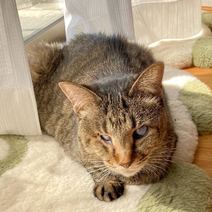 C81a23cb ab69 428f ba7c 29718de2d62c 1646275417579