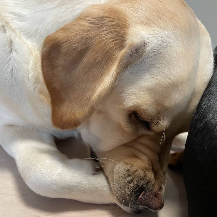 C81ab84b a1ee 41aa 9a40 7da217eee205 1670121103259