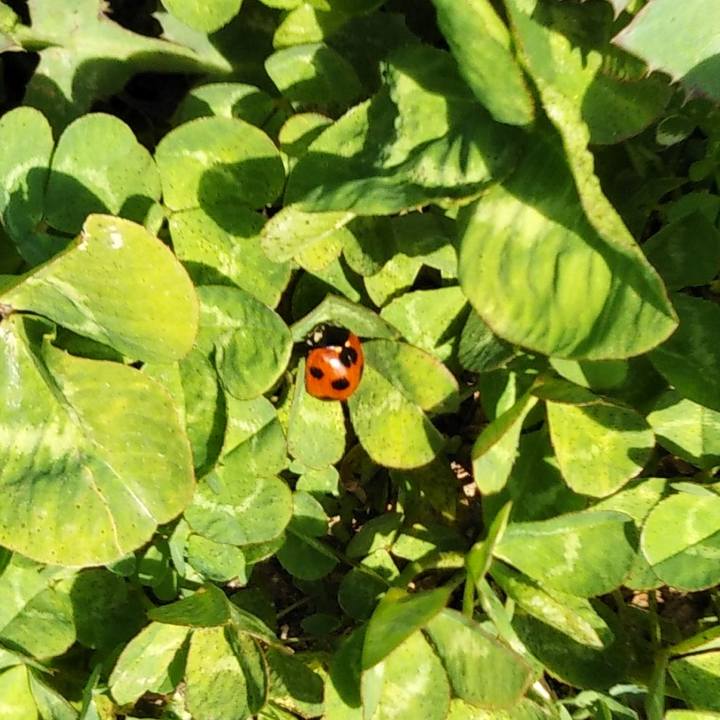 C81ac8db b475 42af 87df 81d49aaac52b 1584460140759