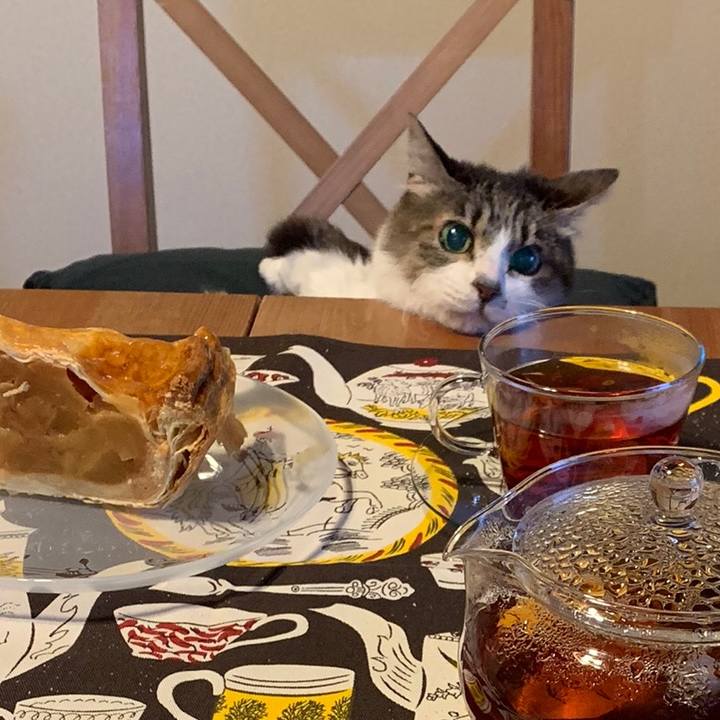 C81af2d3 c360 4cf8 bbc6 44cd196010c9 1573970407816