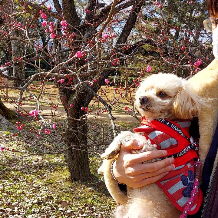 C81b2776 472b 4b60 a22c ddcff3edfb87 1672729021418