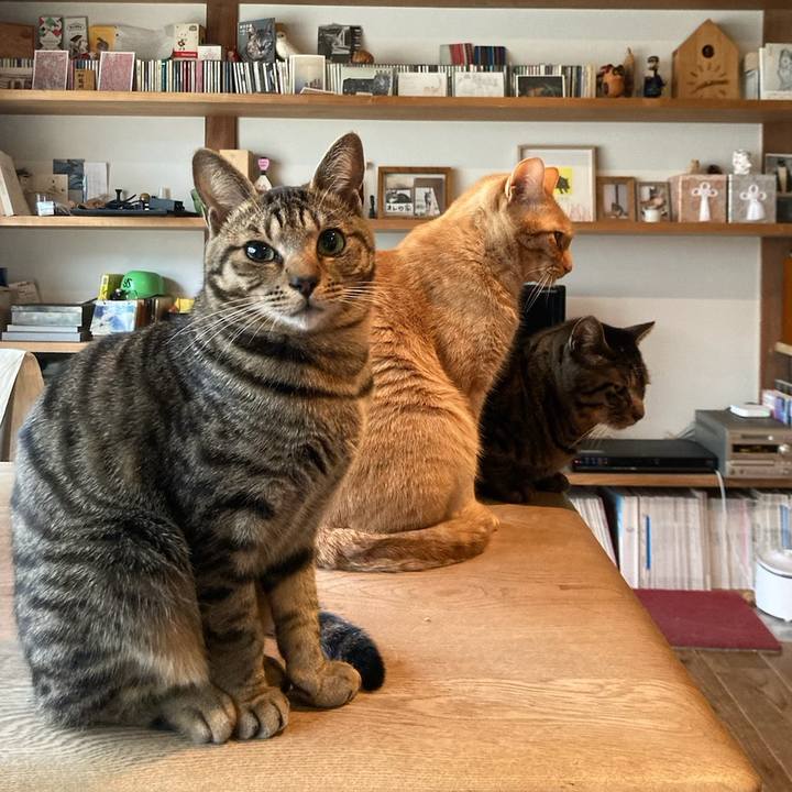 C81b2854 ee60 4f69 b1aa e812b9af5d82 1676038355407