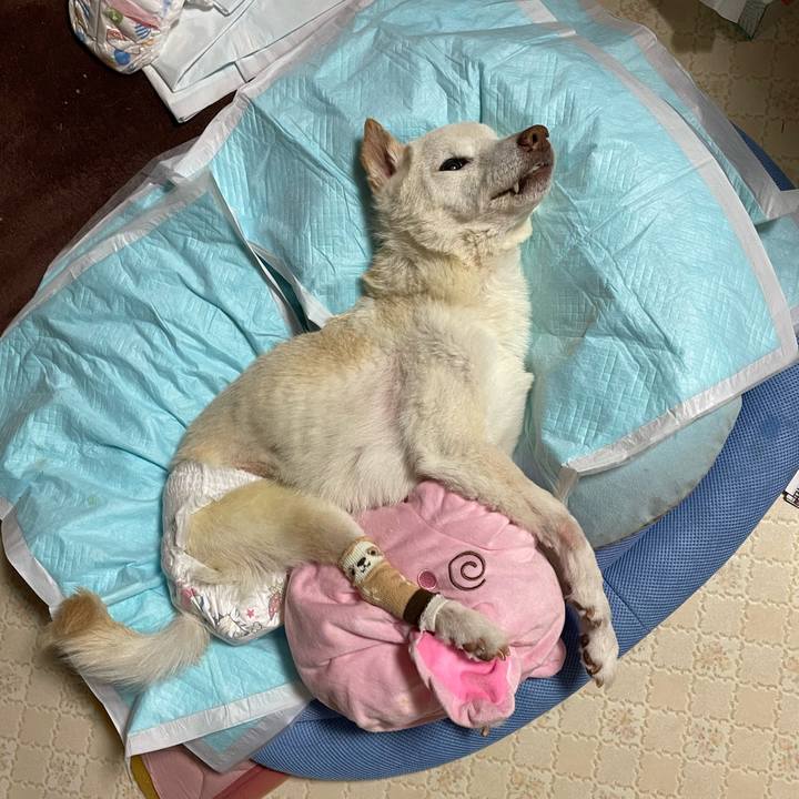 C81b3fb1 b93d 4201 a917 5758b7e26a54 1680785020342