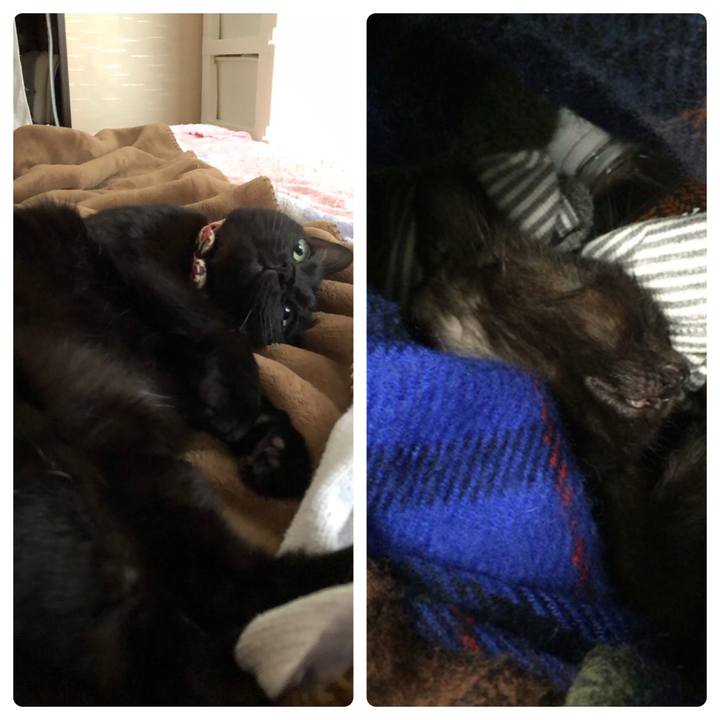 C81b729d ff42 4adf 8868 2fc169303bae 1594251236614