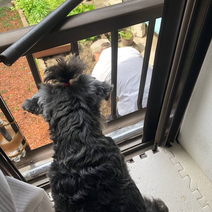 C81bb5ad 5d6a 4ca0 a5bc b50f93d68e14 1619278705847