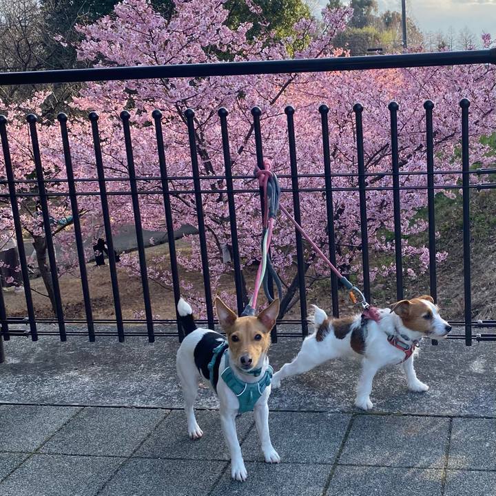 C81bc211 15a6 4ad9 abe7 352d4745e323 1772878257574