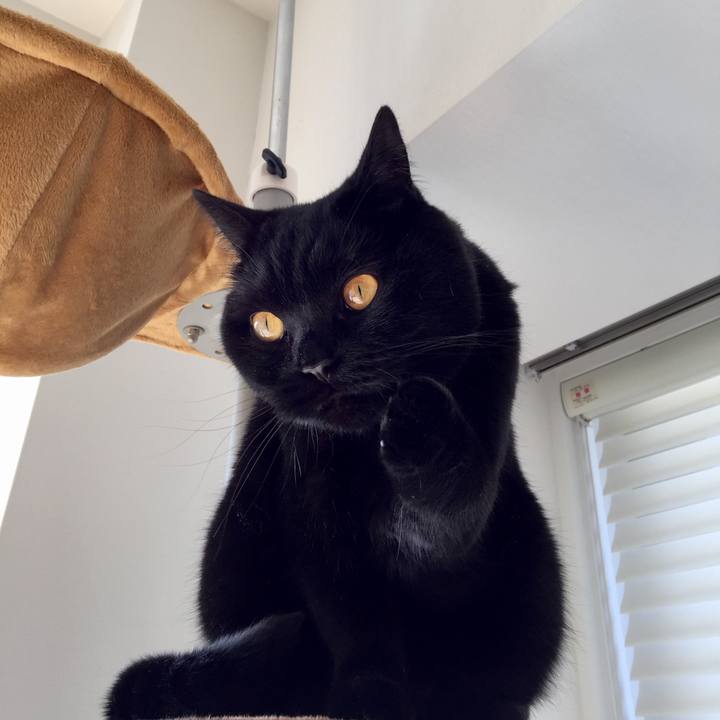 C81bc410 1222 4b0f b0a7 cfec804c4c86 1554455372910