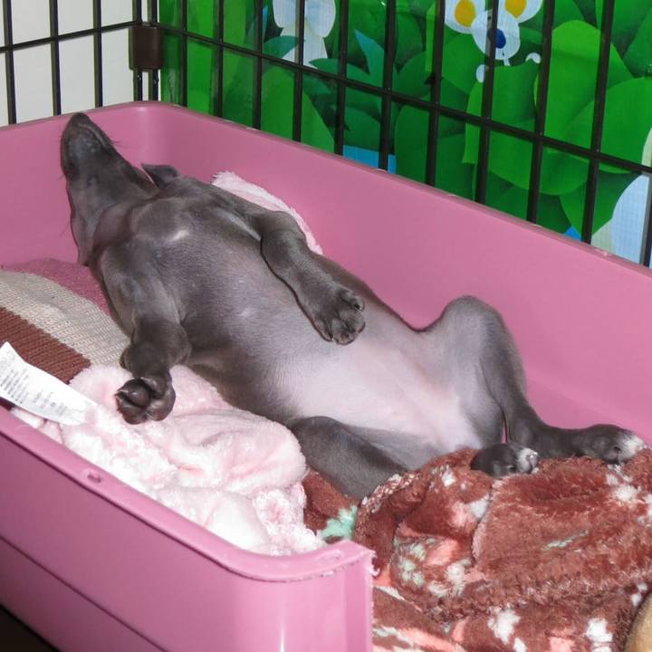 C81bd7dc c656 4b93 944a 7cd6e04af1d2 1761566474266