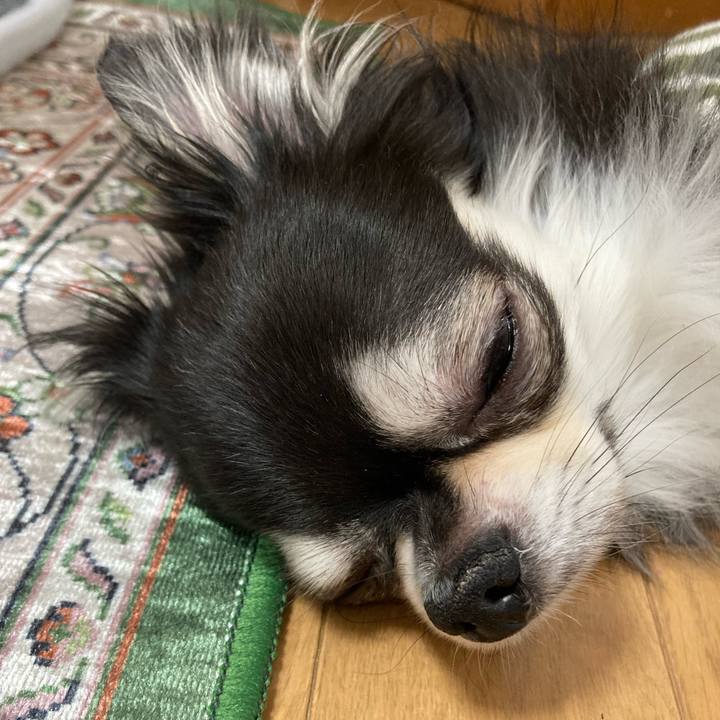 C81beec8 2219 432d 8845 bd23078dde56 1651838080187