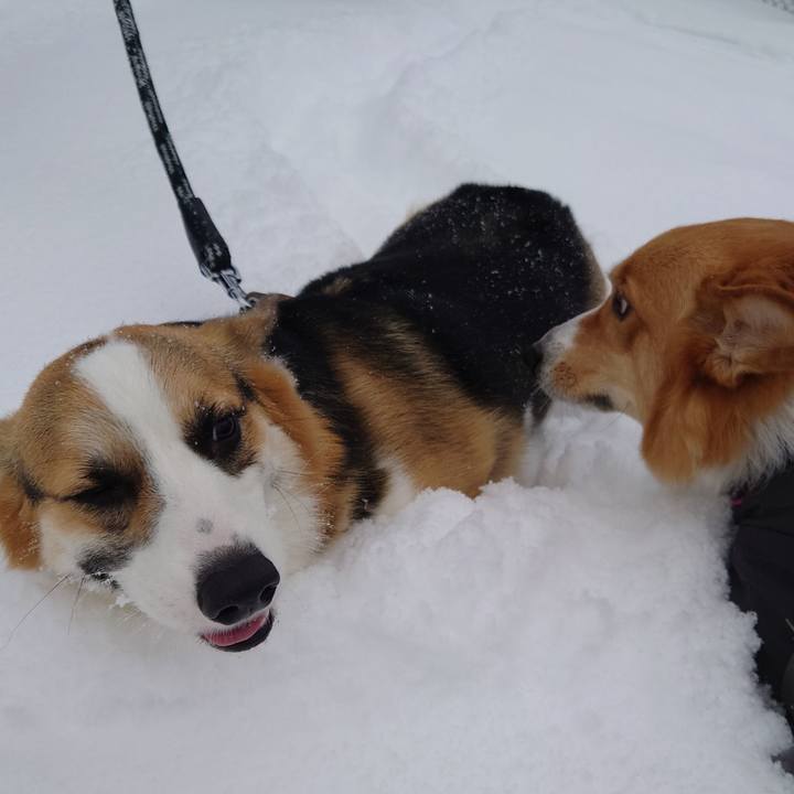 C81bf5f4 90a6 45f4 91a6 db2a7c2690da 1767411907271