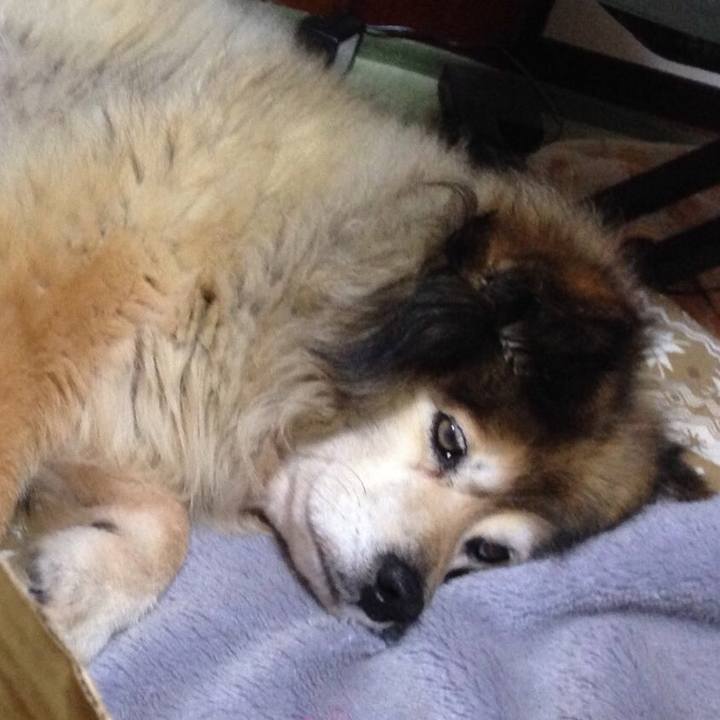 C81c533f 6039 466f 8cf8 85e9ecbc743a 1554549038382