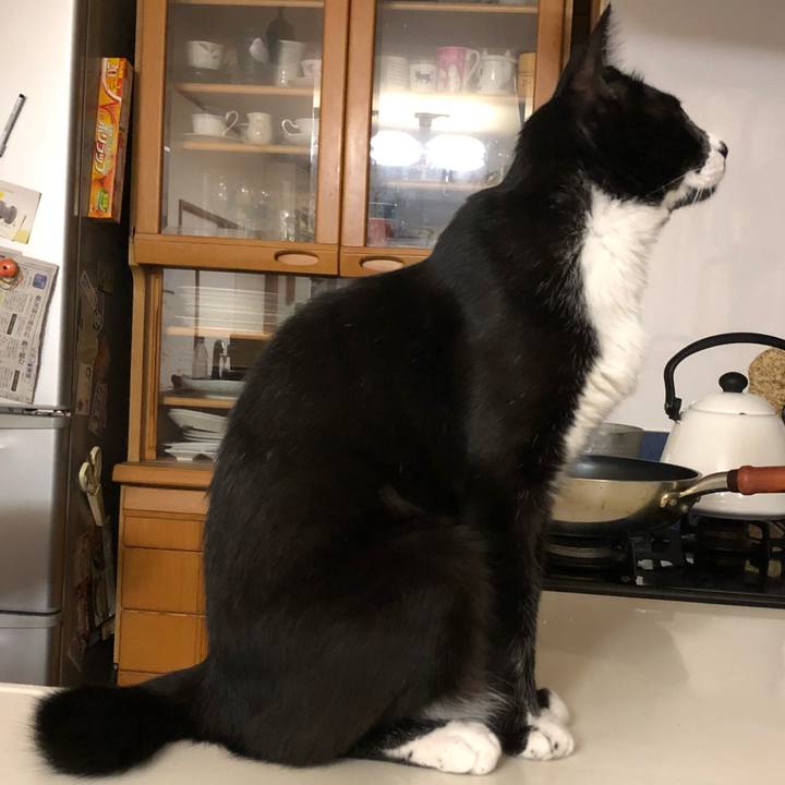 C81c9d6e 122c 41ef 8ccb 63ab972e9e71 1533095336170