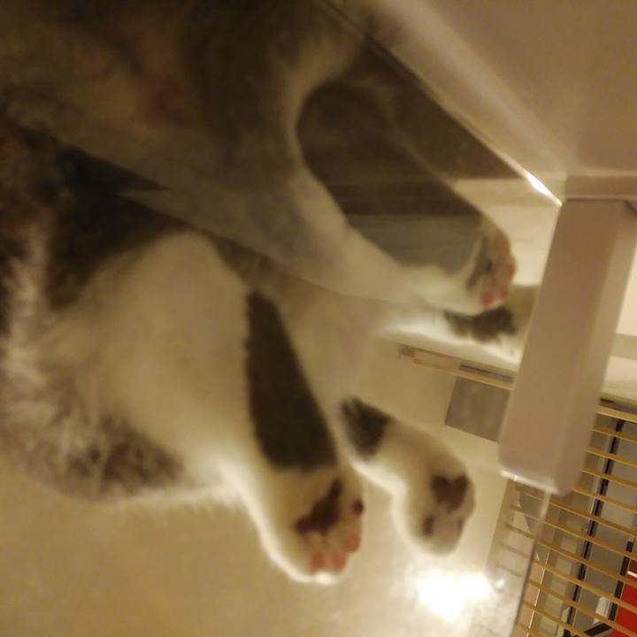 C81cbc82 41cf 43da b410 04f8ca1eb0d5 1588257865159