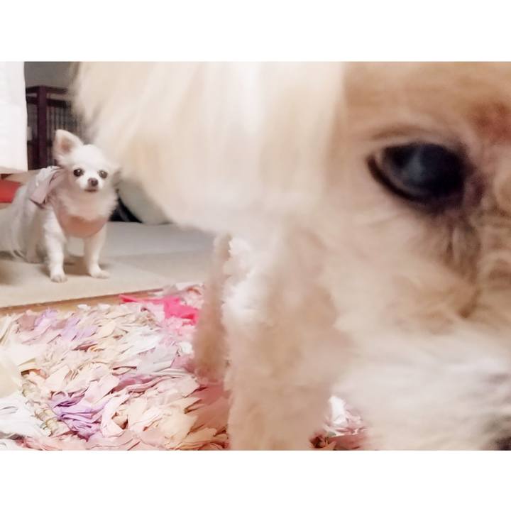 C81cd6bb 3a36 4aae 9d16 9c79d8fbb909 1627642147831