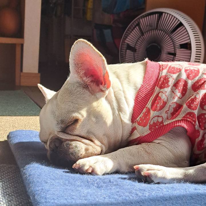 C81cda6b f988 4e26 819a 60c9199b24ad 1699846628171