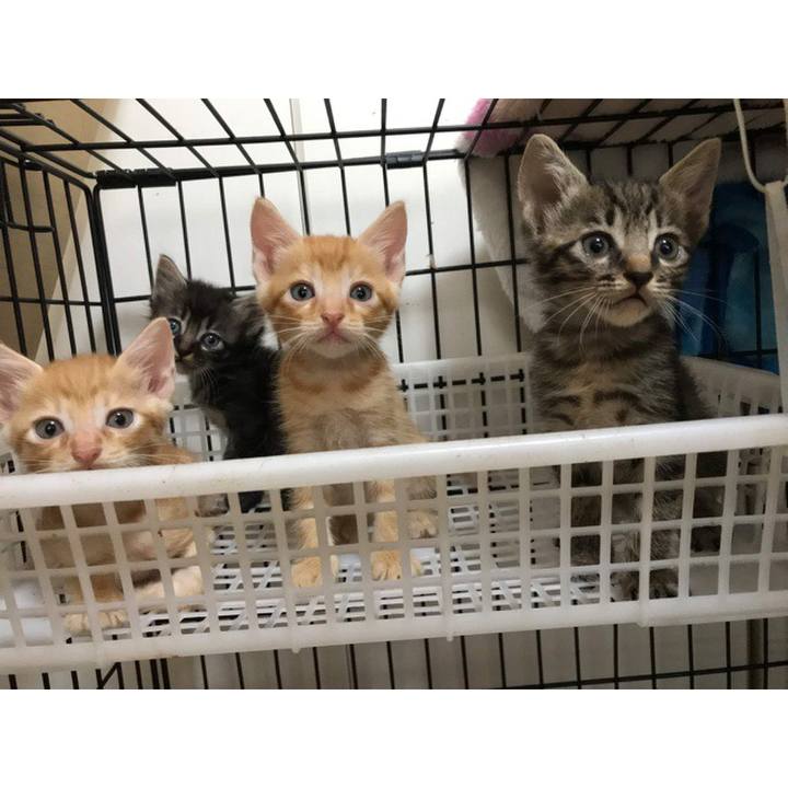 C81ce3e7 7a90 4958 8aa4 2d953f14509e 1597745419694