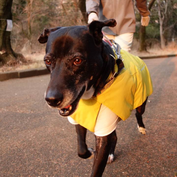 C81d2269 45dc 46b9 b35e 4a5dd002ed06 1736898217541