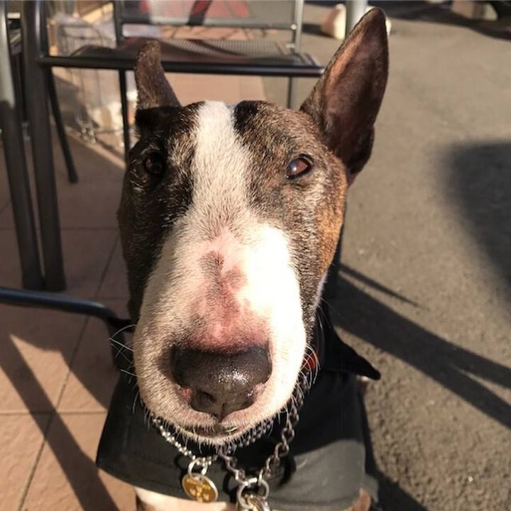 C81d261f 6ae4 4161 91f3 d8e4b4ecb558 1518943573412