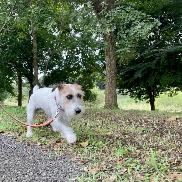 C81d4564 b14e 49f2 bb2d 23521c64d76b 1662618945413